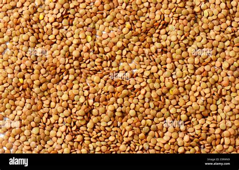 Background Of Dried Brown Lentils Stock Photo Alamy