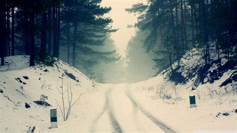Carsnowtracksthroughtheforestroad Wallpaper 1920×1080