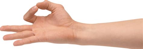Hands Png Hand Image Free
