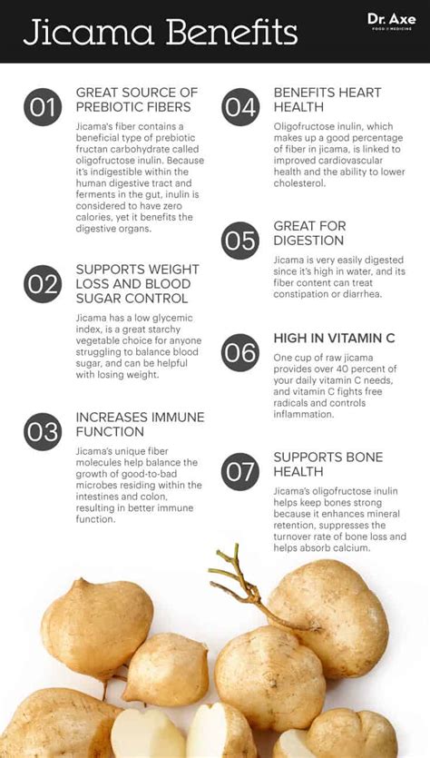 They are also a diuretic, which means they can help blast excess weight by helping your body get rid of extra fluids. Jicama: Full of Prebiotic Fiber, It Helps Weight Loss - Dr ...