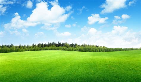 Sky And Grass Wallpapers Top Free Sky And Grass Backgrounds