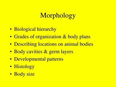 Ppt Morphology Powerpoint Presentation Free Download Id1293869