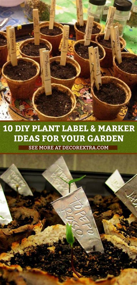10 Amazing Diy Plant Labels And Marker Ideas Your Garden