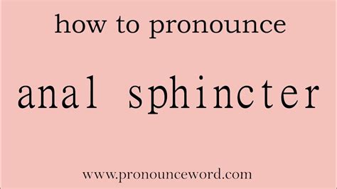 Anal Sphincter How To Pronounce Anal Sphincter In English Correct