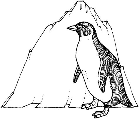 Dibujos De Pingüino Animales Para Colorear Páginas Imprimibles Gratis