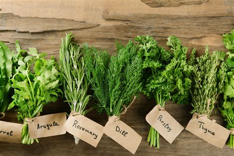 8 Easiest Herbs To Grow In Your Kitchen Garden My