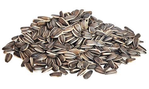 Seeds Png 10 Free Cliparts Download Images On Clipground 2024