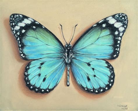 Butterfly In Pastel Butterfly Art Drawing Butterfly Art Painting