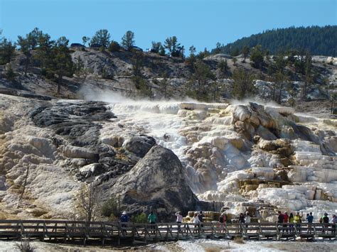 Mammoth Hot Springs Yellowstone National Park National Parks Rv