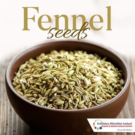 Benefits Of Fennel Seeds Health Tips From Kokilaben Hospital