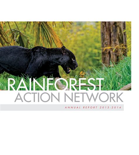 Rainforest Action Network 2014 Annual Report By Sayf Khidir Issuu