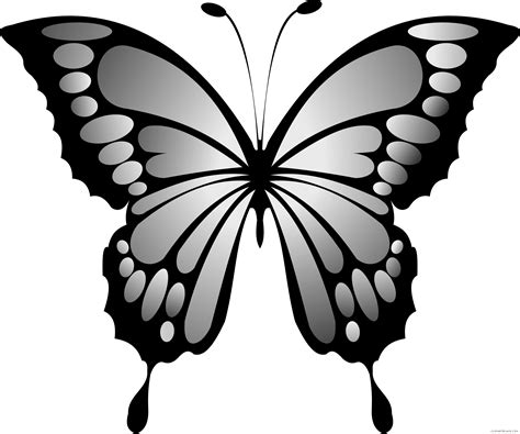 Wonderful Butterfly Animal Free Black White Clipart Blue Butterfly