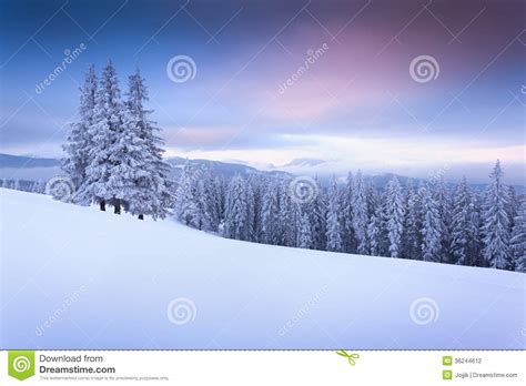 Beautiful Winter Sunrise In Mountains Stock Photo Image