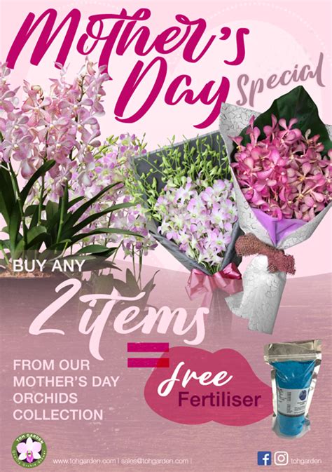 Happy Mothers Day 2020 Toh Garden Singapore Orchid Plant And Flower