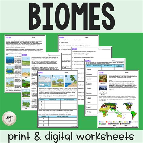 Biomes Pdf Worksheet With Answer Key And Digital Version