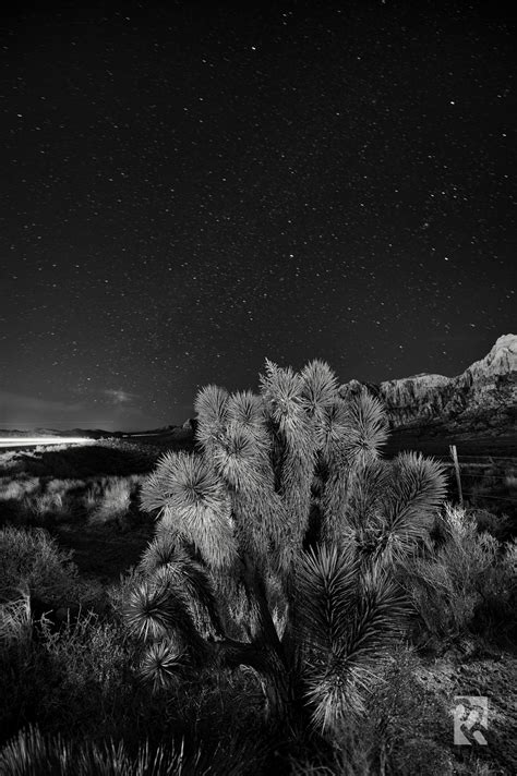 Night Photography At Red Rock In Nevada — Night Photography And Cut Paper