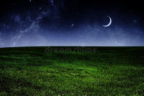 Night Sky With Moon Over Grass Stock Photo Image Of Night Scene