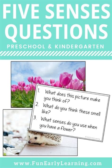 5 Sense Circle Time Activities And Discussion Questions Dr Seuss