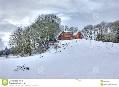 Winter Scene Royalty Free Stock Images Image 4940549