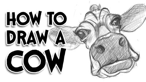 How to draw a cheetah. How to Draw a Cow | Dynamic Animal Drawing Caricature - YouTube