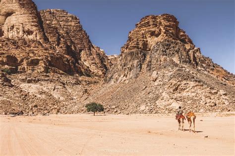 What To Do In Wadi Rum Unforgettable And Divine — Continent Hop