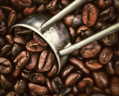 The Coffee Industry Employs 25 Million People Around The World