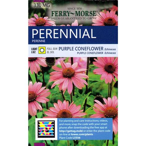 Decided to merge with the d. Shop Ferry-Morse Purple Coneflower Echinecea Flower Seed ...