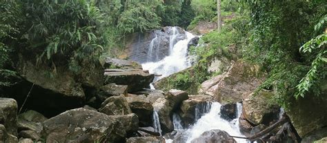 Sinharaja Rainforest World Heritage Site Sri Lanka Plan Your Trip