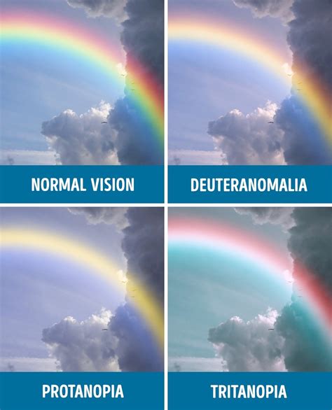 How People With Different Kinds Of Colour Blindness See The World