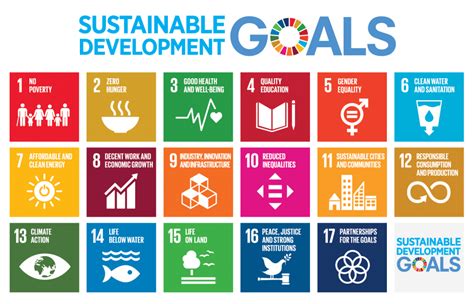 Come Raggiungere Gli Obiettivi Di Sviluppo Sostenibile Impact Hub