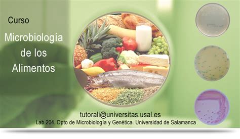 Aplicaciones De La Microbiologia En La Nutricion Nueva Aplicación