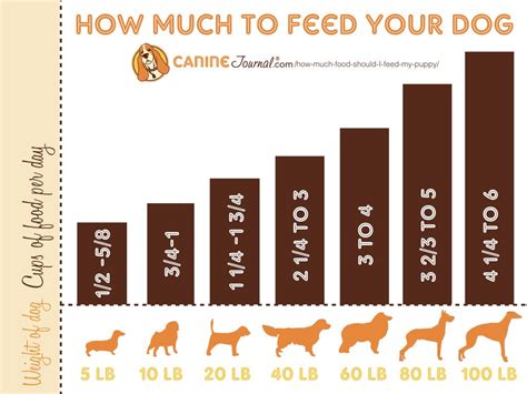 Even if you have a dog that will happily eat. How Much Food Should I Feed My Puppy? | CanineJournal.com ...
