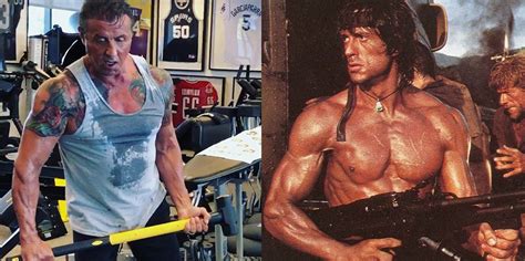 Sylvester Stallone Lifts The Lid On Grueling Rambo 5 Workout Regime