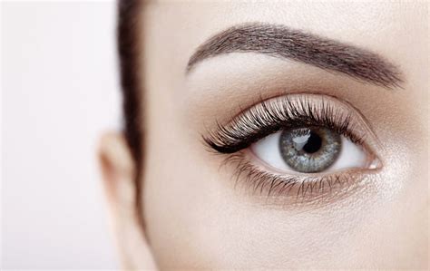 Eyelashes Tiny Hairs That Hold Huge Sway In The Beauty Industry The