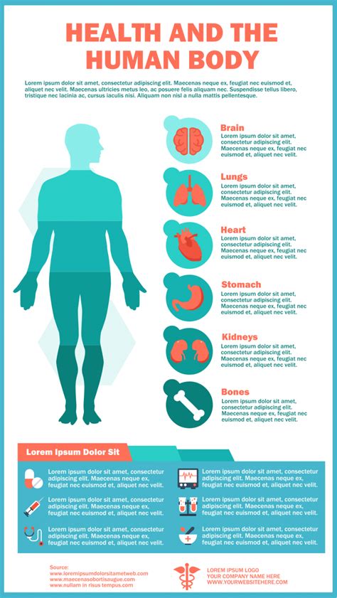 Health And The Human Body Infographic Template Simple Infographic