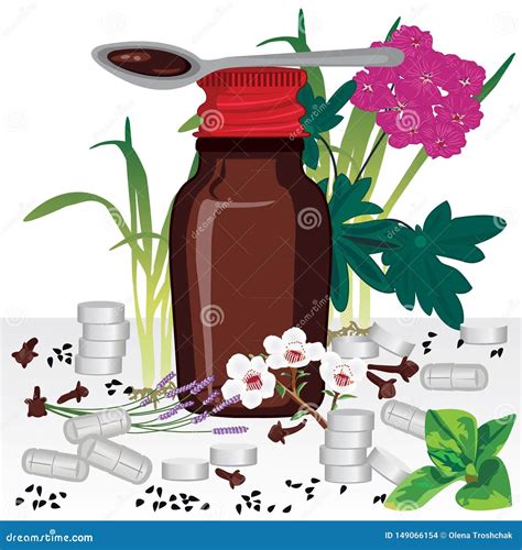 Homeopathic Remedies And Medical Herbs Stock Vector Illustration Of