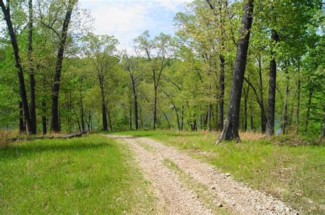 Real estate in rogers, arkansas. Rogers, AR land for sale 10 to 25 acres listed withTricia ...