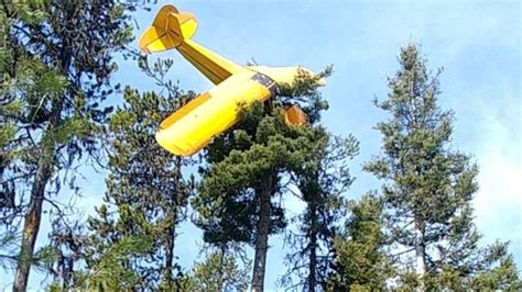 Pilot Survives Crash Into Treetop Near Mccall