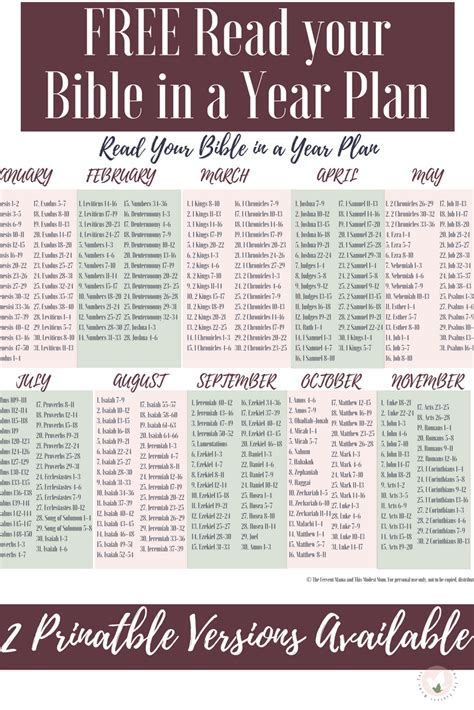 Daily Bible Reading Plan Scripture Writing Plans Bible Study Plans