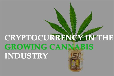 Role Of Cryptocurrency In The Growing Cannabis Industry Rocket Seeds