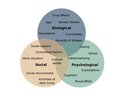 What Is The Bio Psycho Social Model Of Pain European Pain Federation