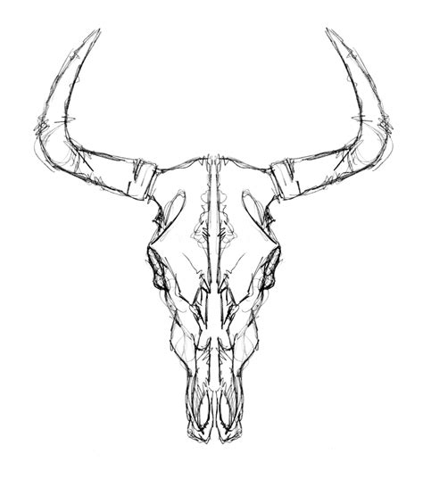 Cow Skull Drawing At Getdrawings Free Download Pharmakon Dergi