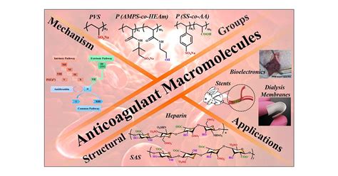 Anticoagulant Macromolecules Macromolecules