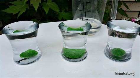 Water Resistance Experiments For Kids Kidminds