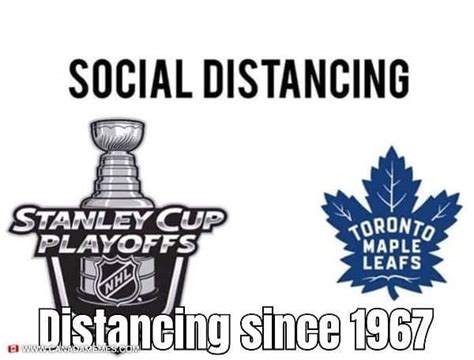 Toronto Maple Leaf Memes Leafs Jokes