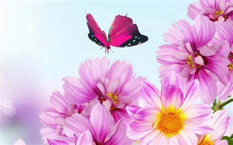 Pink Spring Flower Wallpaper Wallpapersafari