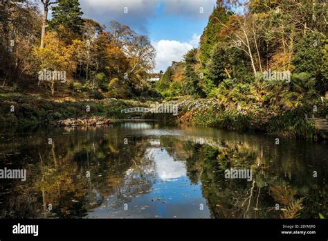 Trebah Garden Lake In Autumn Cornwall Uk Stock Photo Alamy