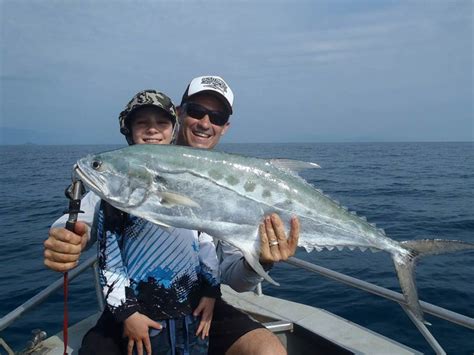 Cairns Fishing The Complete Guide Updated 2023
