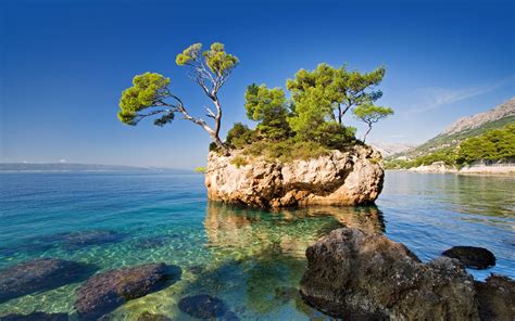 Croatia Sea Scenery Brela Crag Trees Nature 409622