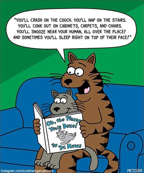 30 funny cat comics by scott metzger that might make every cat owner cry with laughter new pics